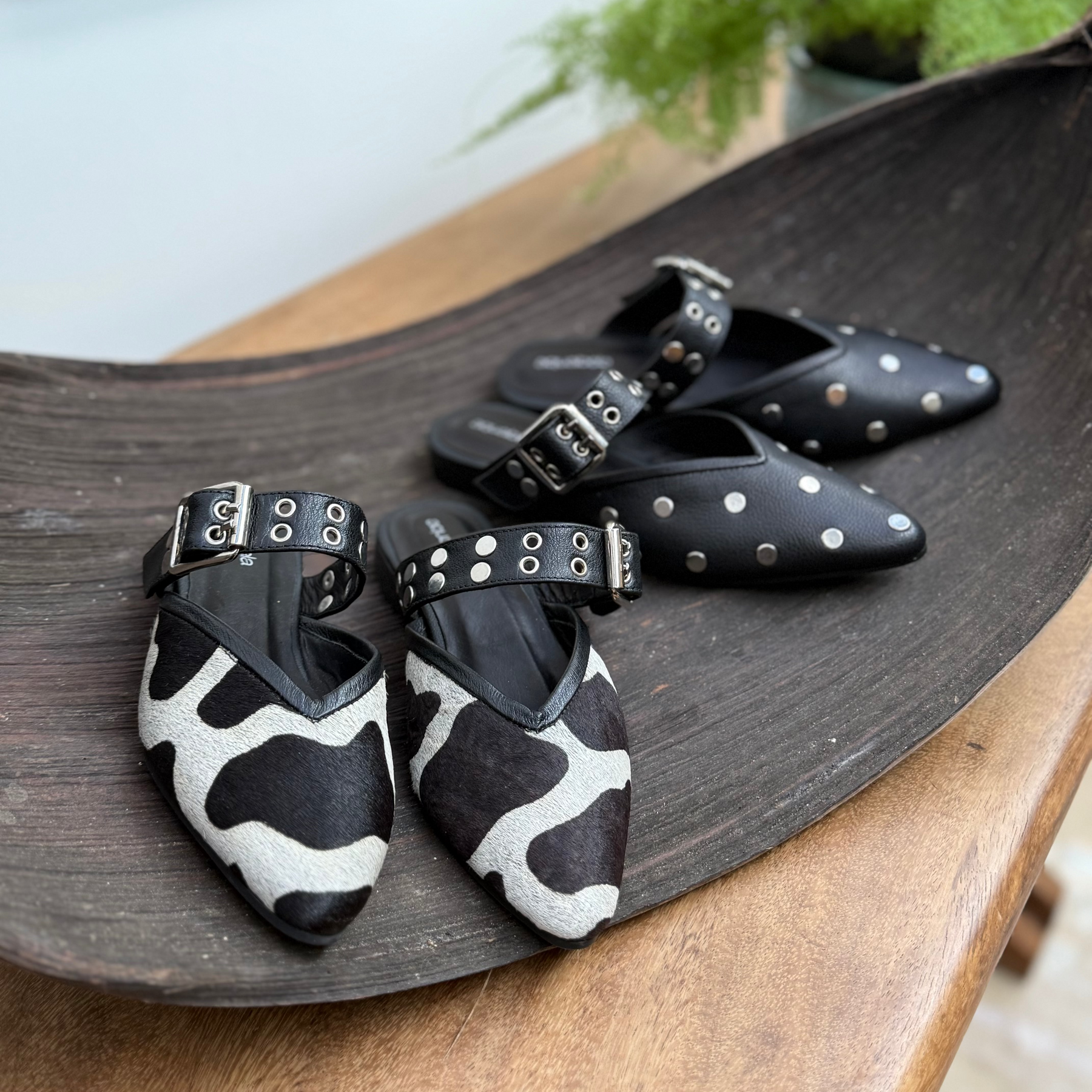 Flat Bimba